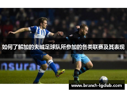 如何了解加的夫城足球队所参加的各类联赛及其表现