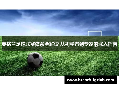 英格兰足球联赛体系全解读 从初学者到专家的深入指南