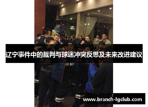辽宁事件中的裁判与球迷冲突反思及未来改进建议