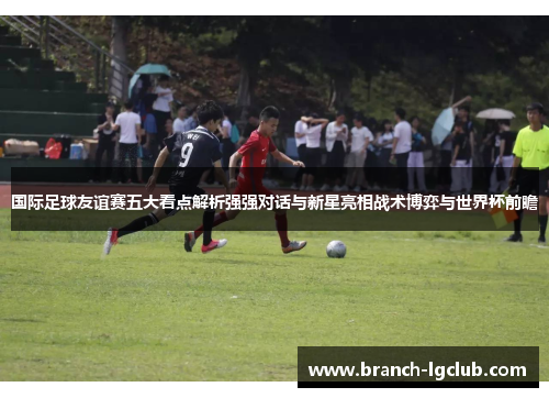 国际足球友谊赛五大看点解析强强对话与新星亮相战术博弈与世界杯前瞻